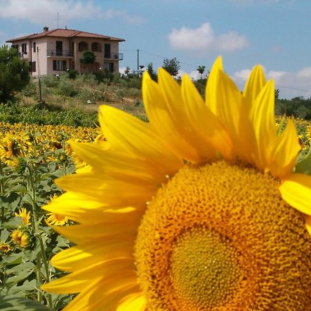 B&B Il Girasole - Rooms & House In Country - 1500 Meters From The City Montepulciano Stazione Εξωτερικό φωτογραφία