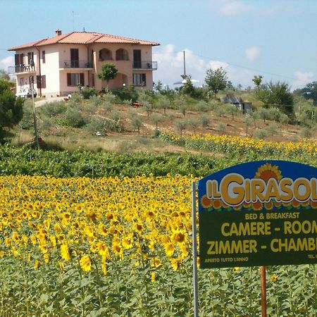 B&B Il Girasole - Rooms & House In Country - 1500 Meters From The City Montepulciano Stazione Εξωτερικό φωτογραφία