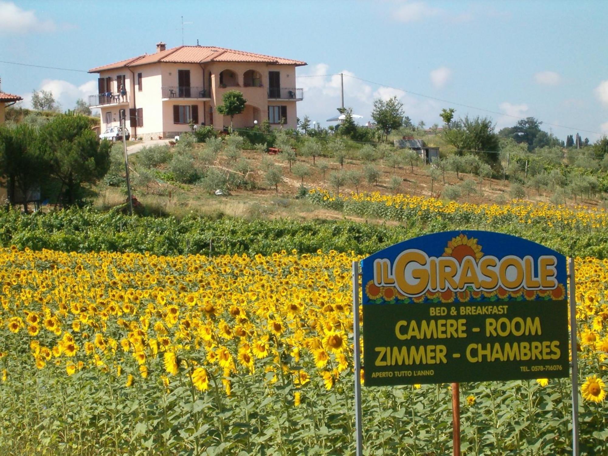 B&B Il Girasole - Rooms & House In Country - 1500 Meters From The City Montepulciano Stazione Εξωτερικό φωτογραφία