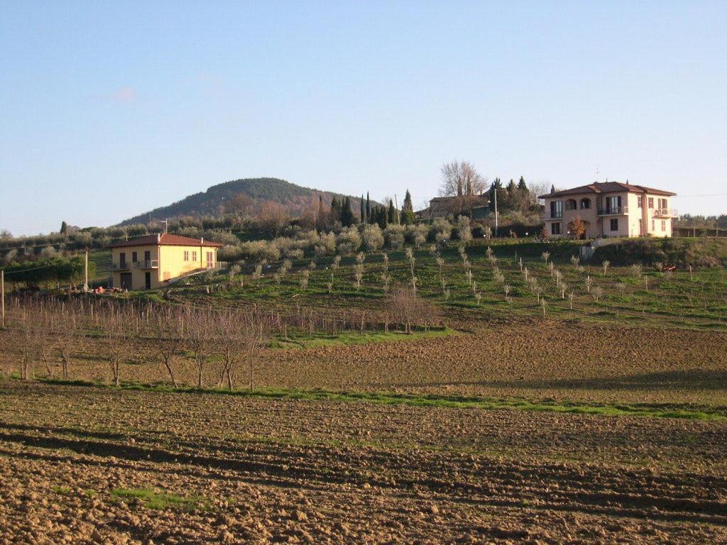B&B Il Girasole - Rooms & House In Country - 1500 Meters From The City Montepulciano Stazione Εξωτερικό φωτογραφία