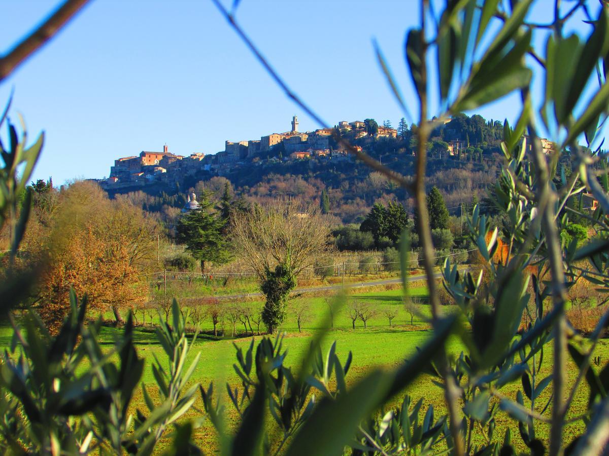 B&B Il Girasole - Rooms & House In Country - 1500 Meters From The City Montepulciano Stazione Εξωτερικό φωτογραφία