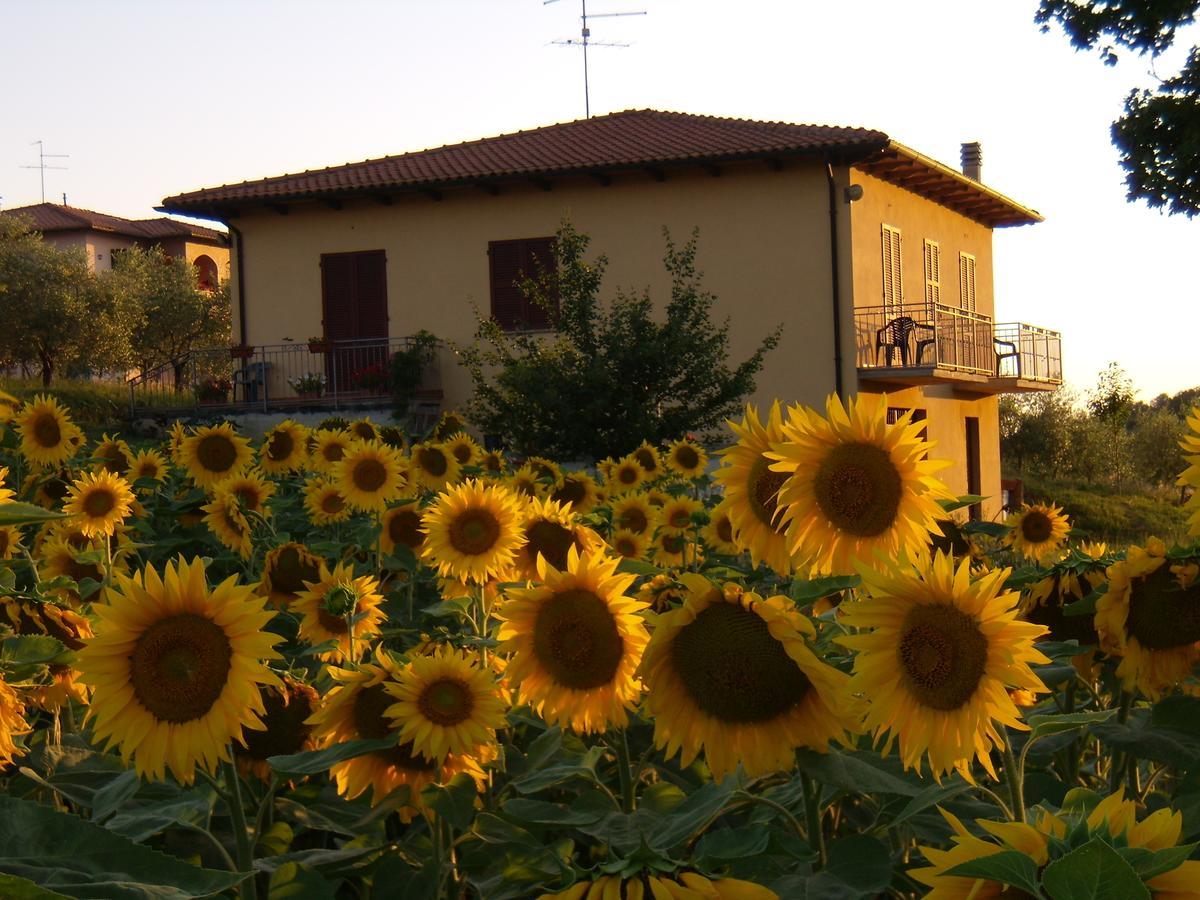 B&B Il Girasole - Rooms & House In Country - 1500 Meters From The City Montepulciano Stazione Εξωτερικό φωτογραφία