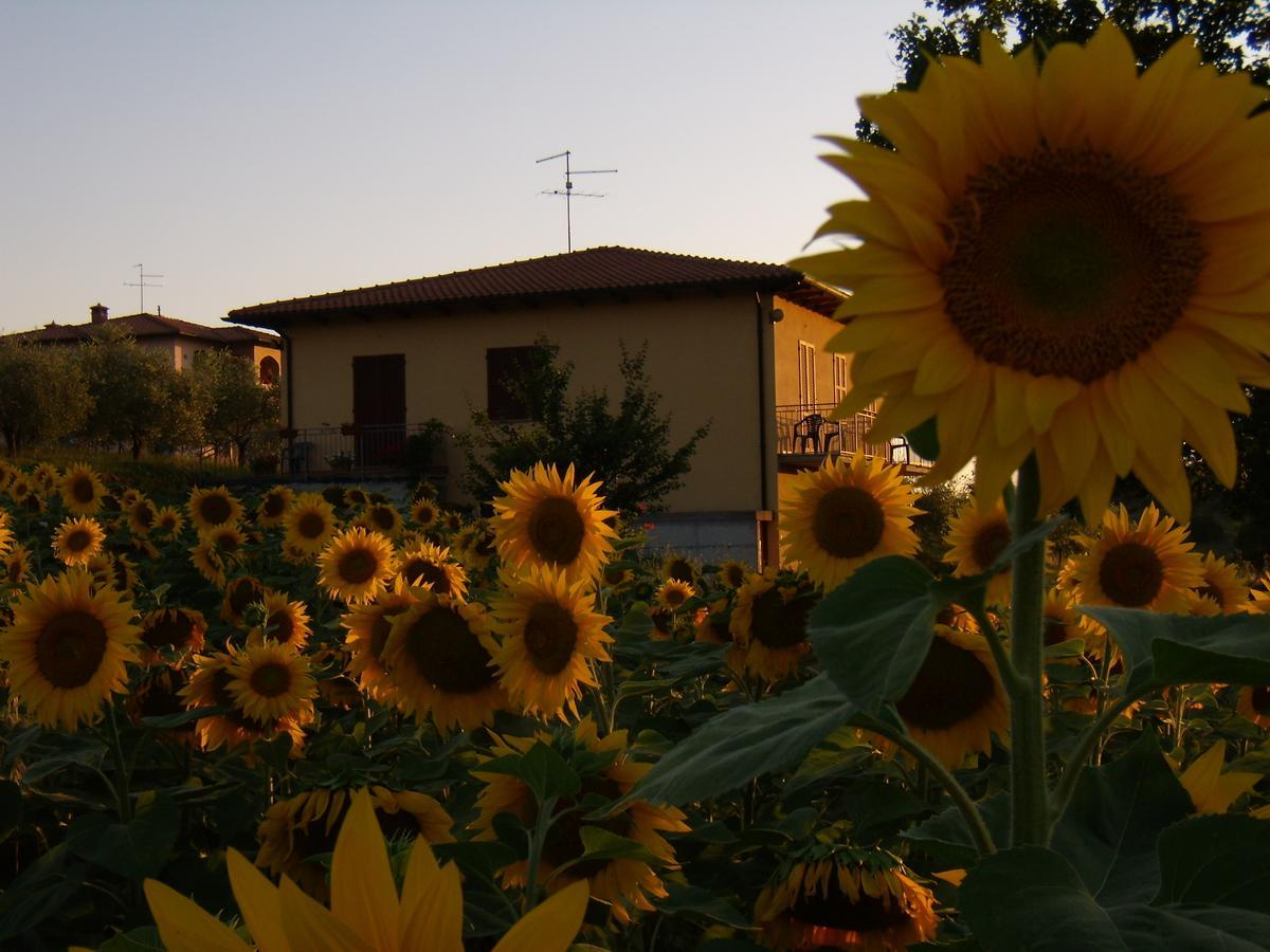 B&B Il Girasole - Rooms & House In Country - 1500 Meters From The City Montepulciano Stazione Εξωτερικό φωτογραφία